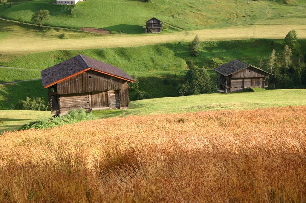 Bauernhof Im Wiesengrund Maria Luggau Dış mekan fotoğraf