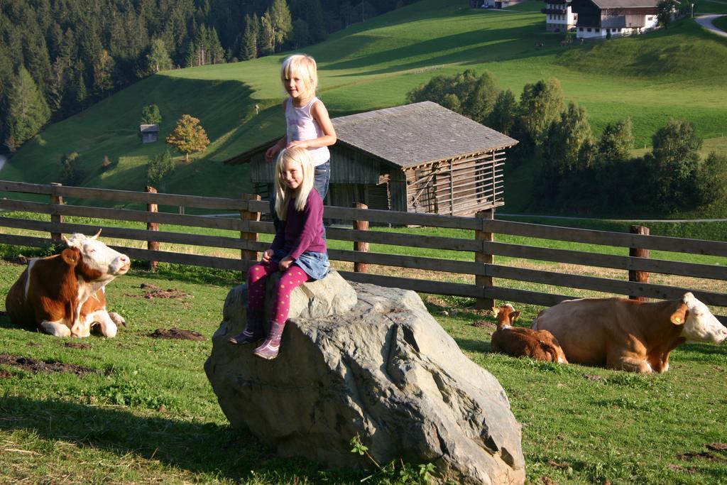 Bauernhof Im Wiesengrund Maria Luggau Dış mekan fotoğraf